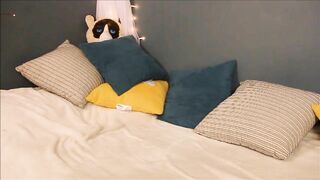 Goddess Jessie Wolfe