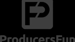 Carolina Sweets - Producersfun