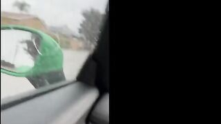 Nala – USA Social Media Influencer Fucks stranger vlog Leaked onlyfans pov Sextape