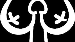 Brooke Tilli | brooketilli