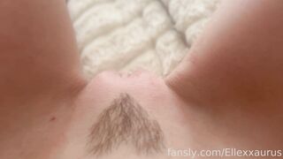 Ellexxaurus