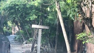 Rachel Cook Tulum Vlog part 2