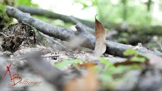 Xev Bellringer - Thirst Busters Outdoor Blowjob For Water