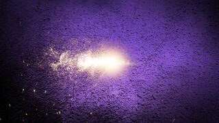 Kayla Kiss
