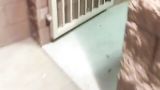 YOUNG ASIAN EBONY GIRLFRIEND LEAKED (Video 15)