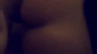 Vixen Vu (Video 12)