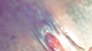 Vixen Vu (Video 2)