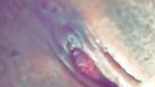 Vixen Vu (Video 2)