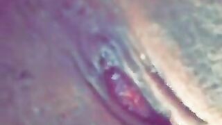 Vixen Vu (Video 2)
