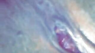 Vixen Vu (Video 3)