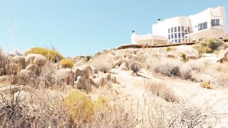 Evelyn Claire Elly Clutch - Sound Bath