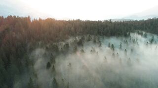 DaringKiara_Cinematic Outdoor Yoga Masturbation