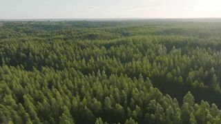 DaringKiara_Outdoor Masturbation in Vineyards