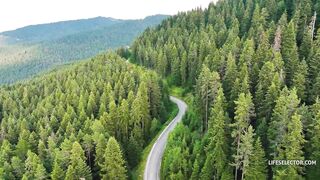 Alexis Crystal, Sata Jones