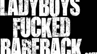 TS Boss - jean short fuck